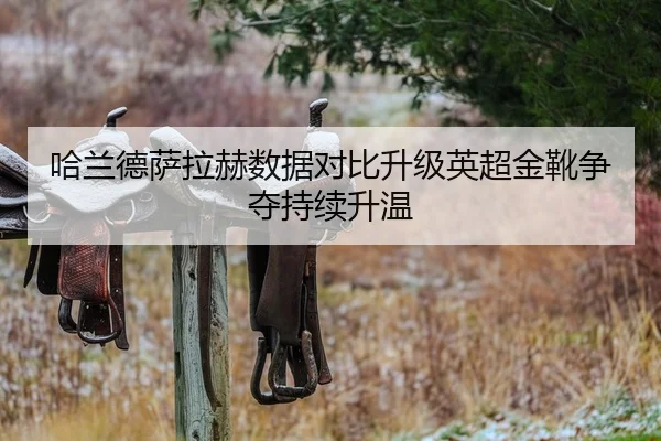 哈兰德萨拉赫数据对比升级英超金靴争夺持续升温