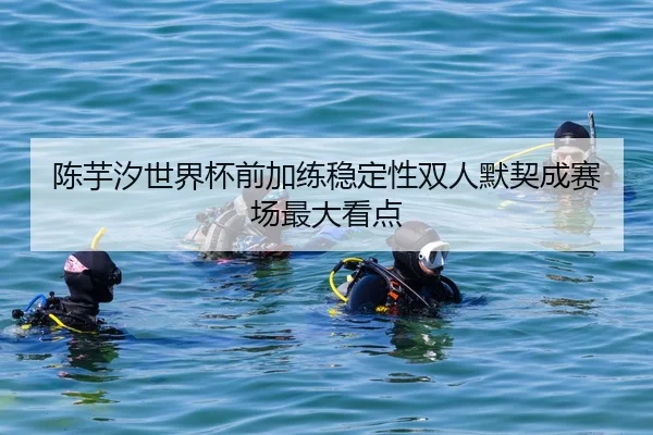 陈芋汐世界杯前加练稳定性双人默契成赛场最大看点
